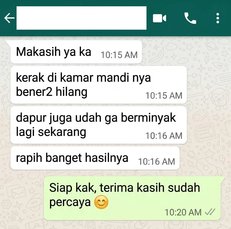 review jasa bersih lapin